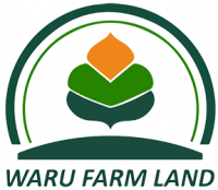 Waru Farm Land
