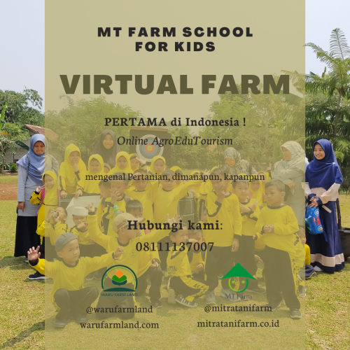 Virtual Farm for Kids
